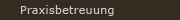 Praxisbetreuung